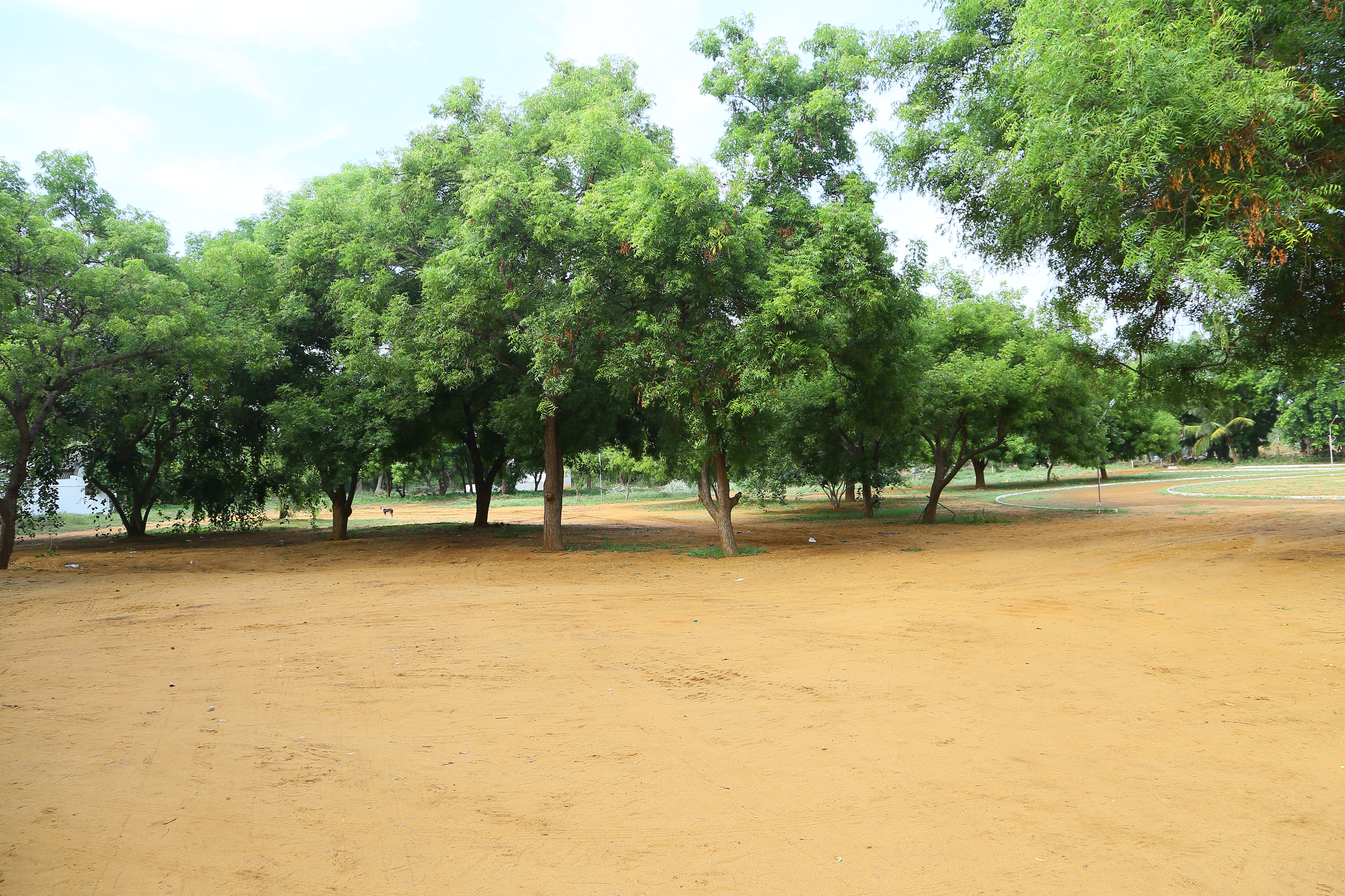 Ground 3